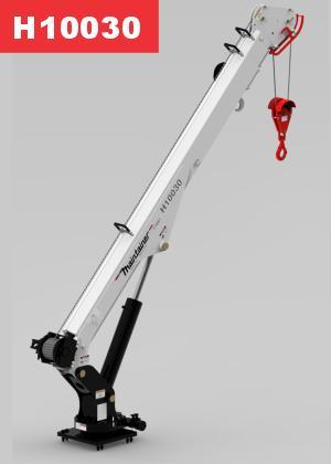 H10030 crane - 300 px.png